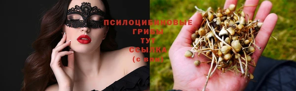 скорость Осинники