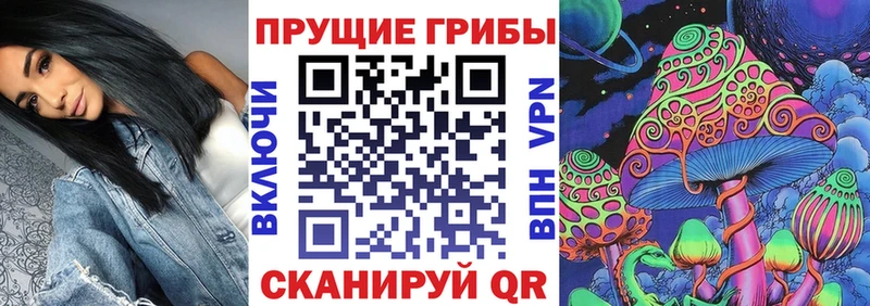 Псилоцибиновые грибы Magic Shrooms  Рыльск 